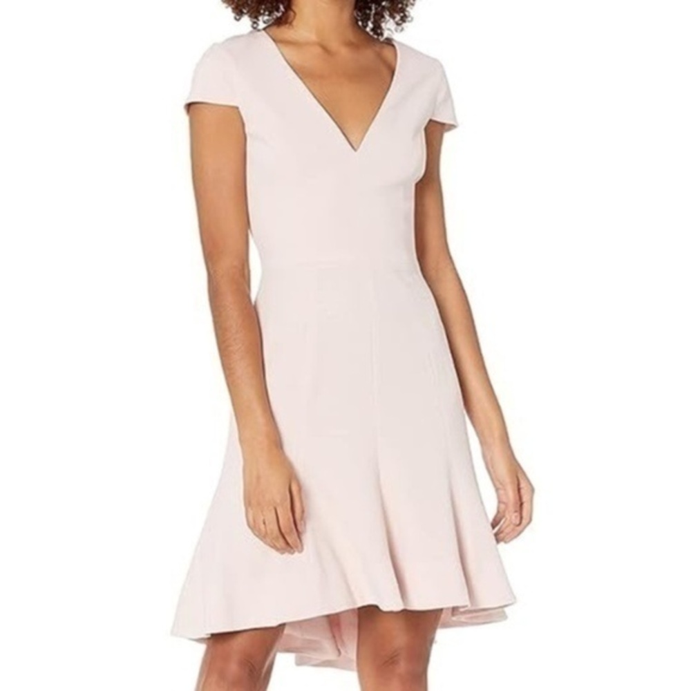 Dress The Population. Bettie Fit and Flare Dress.